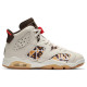 Jordan Air Jordan 6 Retro Quai 54